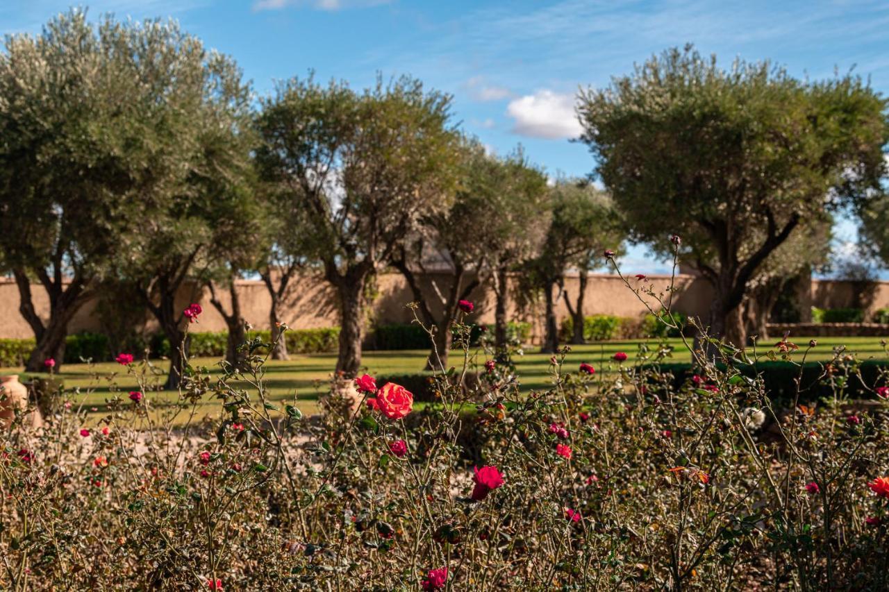 Le Palais Paysan Bed & Breakfast Marakeş Dış mekan fotoğraf