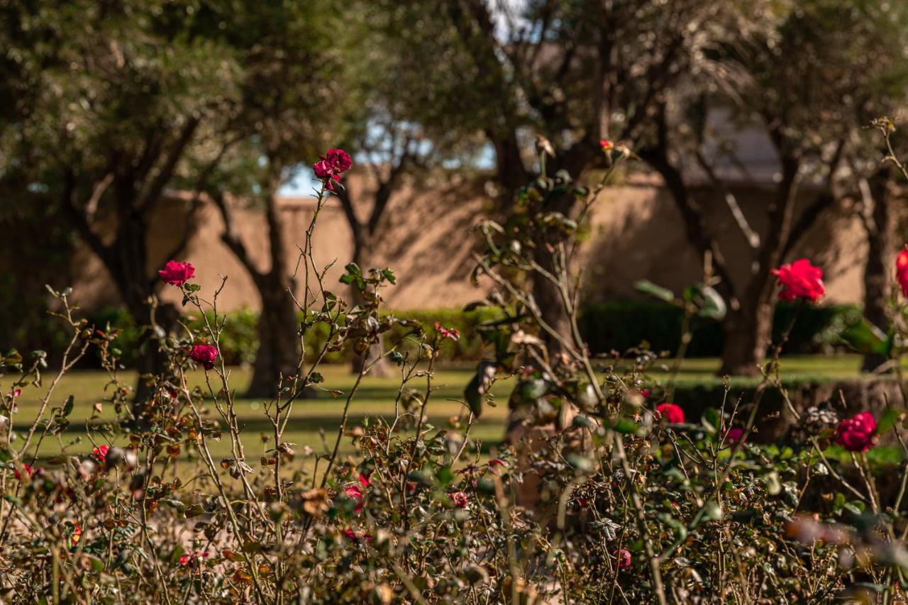 Le Palais Paysan Bed & Breakfast Marakeş Dış mekan fotoğraf